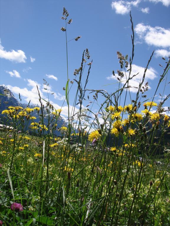 Ferienwohnungen Durst Roswitha Schattwald Exteriör bild